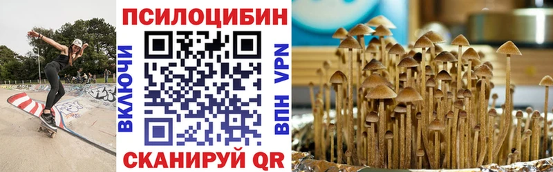 Купить закладки  Николаевск-на-Амуре  Псилоцибиновые грибы прущие грибы 